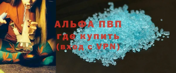 прущие грибы Коряжма