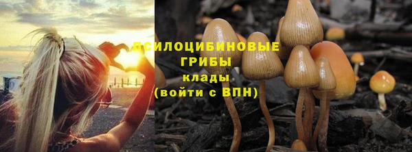 ECSTASY Красноперекопск