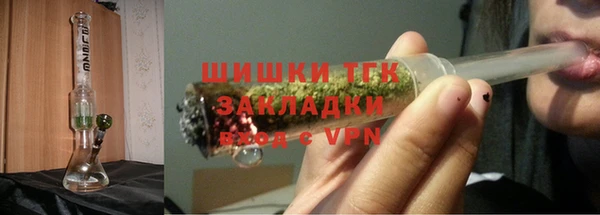 прущие грибы Коряжма