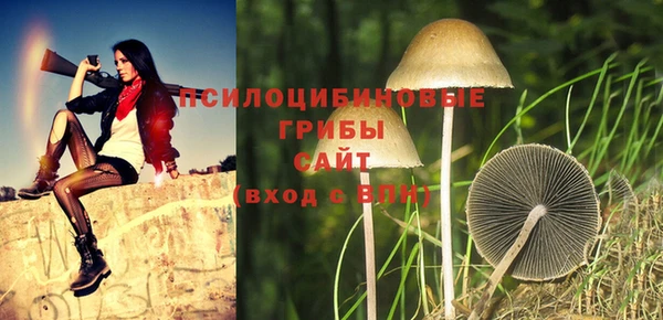 прущие грибы Коряжма