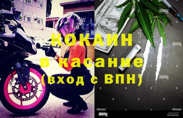 прущие грибы Коряжма