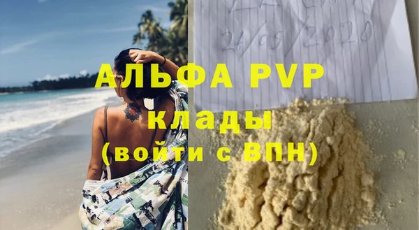 прущие грибы Коряжма