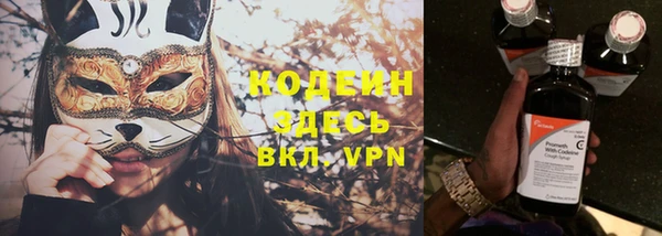 прущие грибы Коряжма